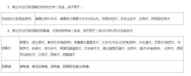 托运宠物需要办理哪些手续？这里有一套详细的宠物托运攻略