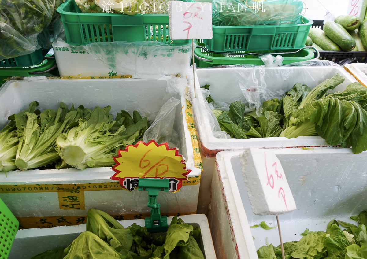 闲逛老店林立的澳门十月初五老街,菜市场的菜价有些出乎意料