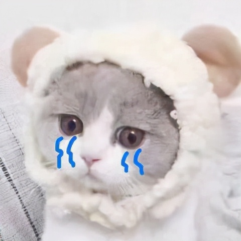 肾虚体寒喝什么,肾虚体寒需要治疗吗