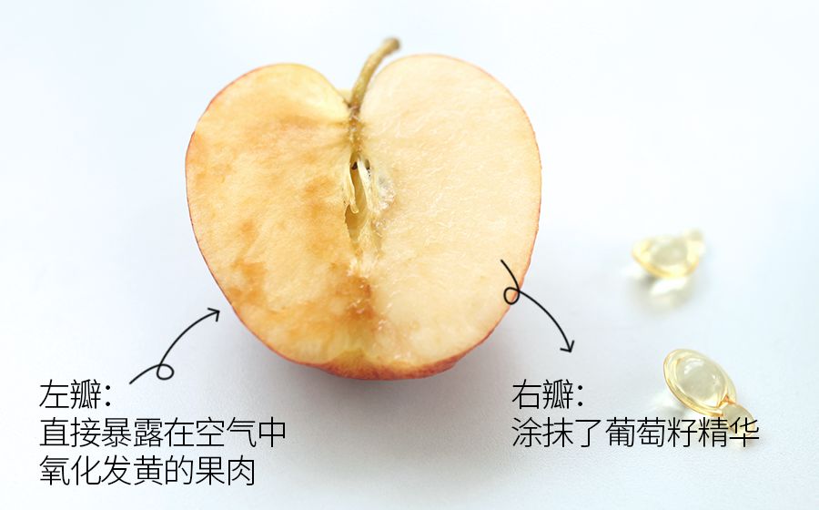 琚佸濮楄憽钀勭苯绮惧崕,琚佸濮楁帹鑽愯憽钀勭苯鎶よ偆