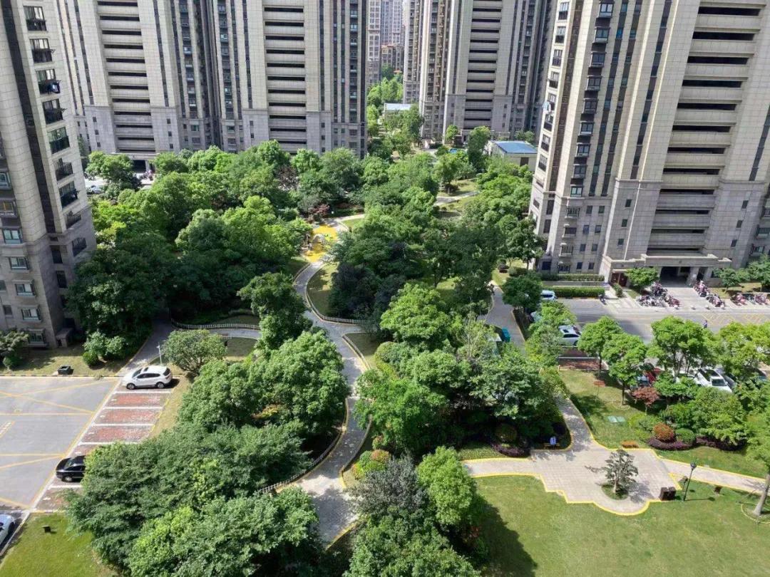 没怎么涨价的桥北，真的是天坑吗？