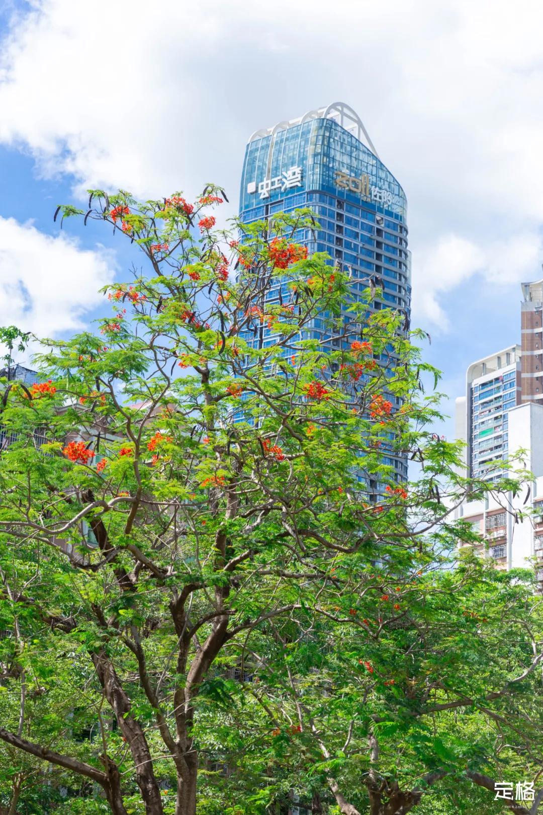 深圳大鹏小众村庄,超小众拍照圣地深圳