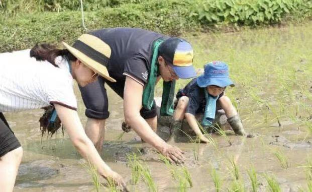 贵族学校学生的奢侈生活,贵族学校真实生活合集