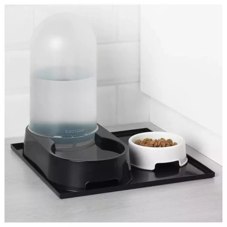 小佩闷死猫后续,小佩猫窝现在还有吗