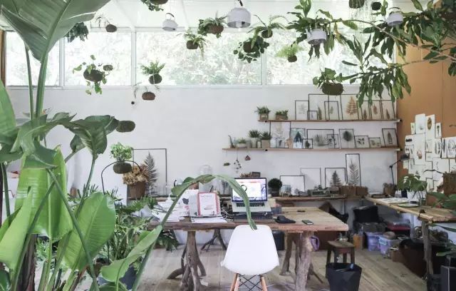 深山老林自建豪华木屋隐居生活,90后小情侣隐居深山建别墅仅花6万