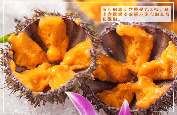 到底是海星吃海胆还是海胆吃海星,是海星吃海胆还是海胆吃海星