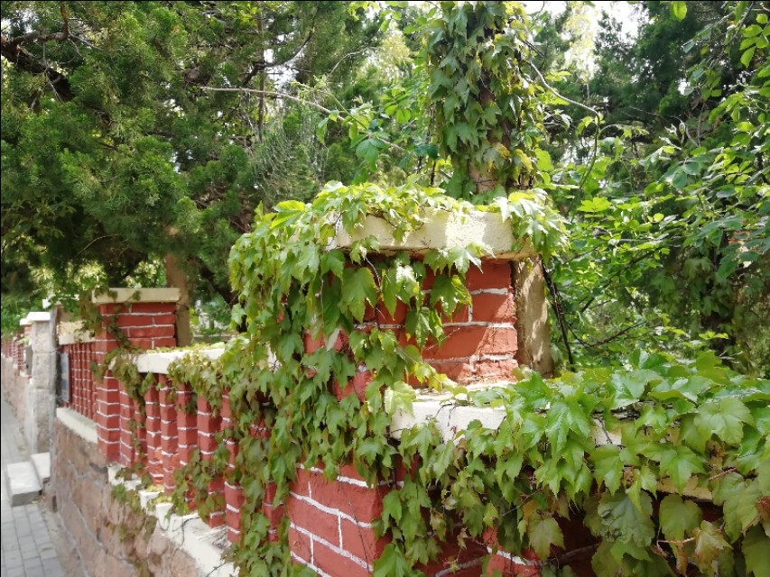 杨贵妃与历史,杨贵妃历史上的爱情故事