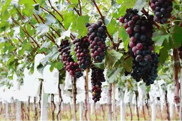 京郊好玩的,京郊最值得旅游的地方