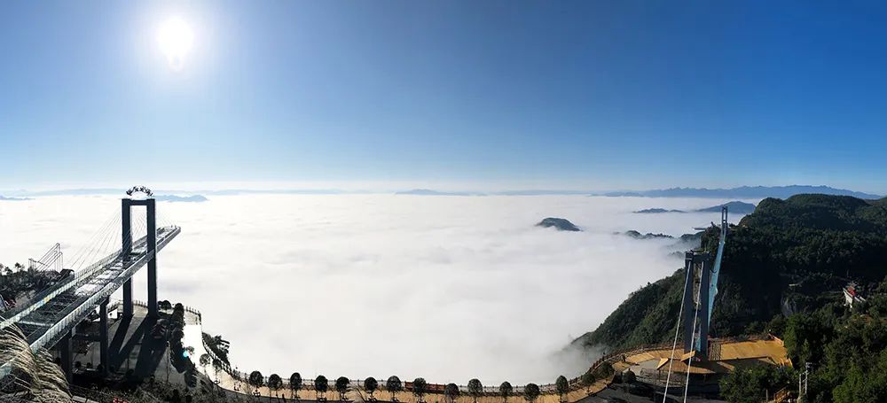 仙人街景区赏花攻略,吉尼斯打卡仙人街