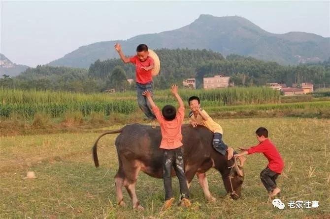 农村生活实拍,农村生活污水处理
