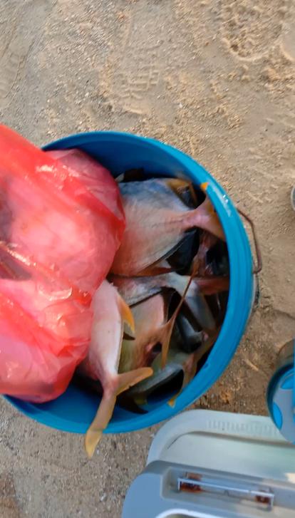 跟老船长出海到神秘钓点，渔获狂拉不断，卖了一千多块钱