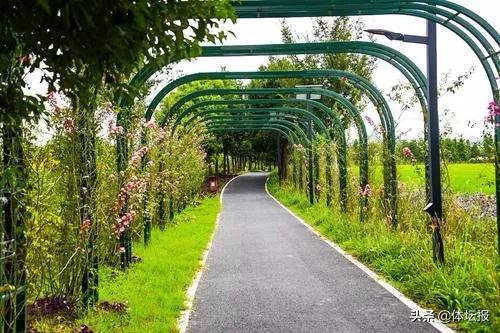 脚步丈量城市绿肺,脚步丈量青山绿水