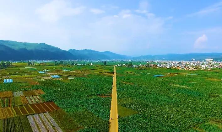 什么是弥勒教,什么是弥勒尊佛