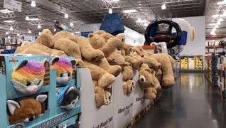 澳洲有costco,澳洲有costco超市吗