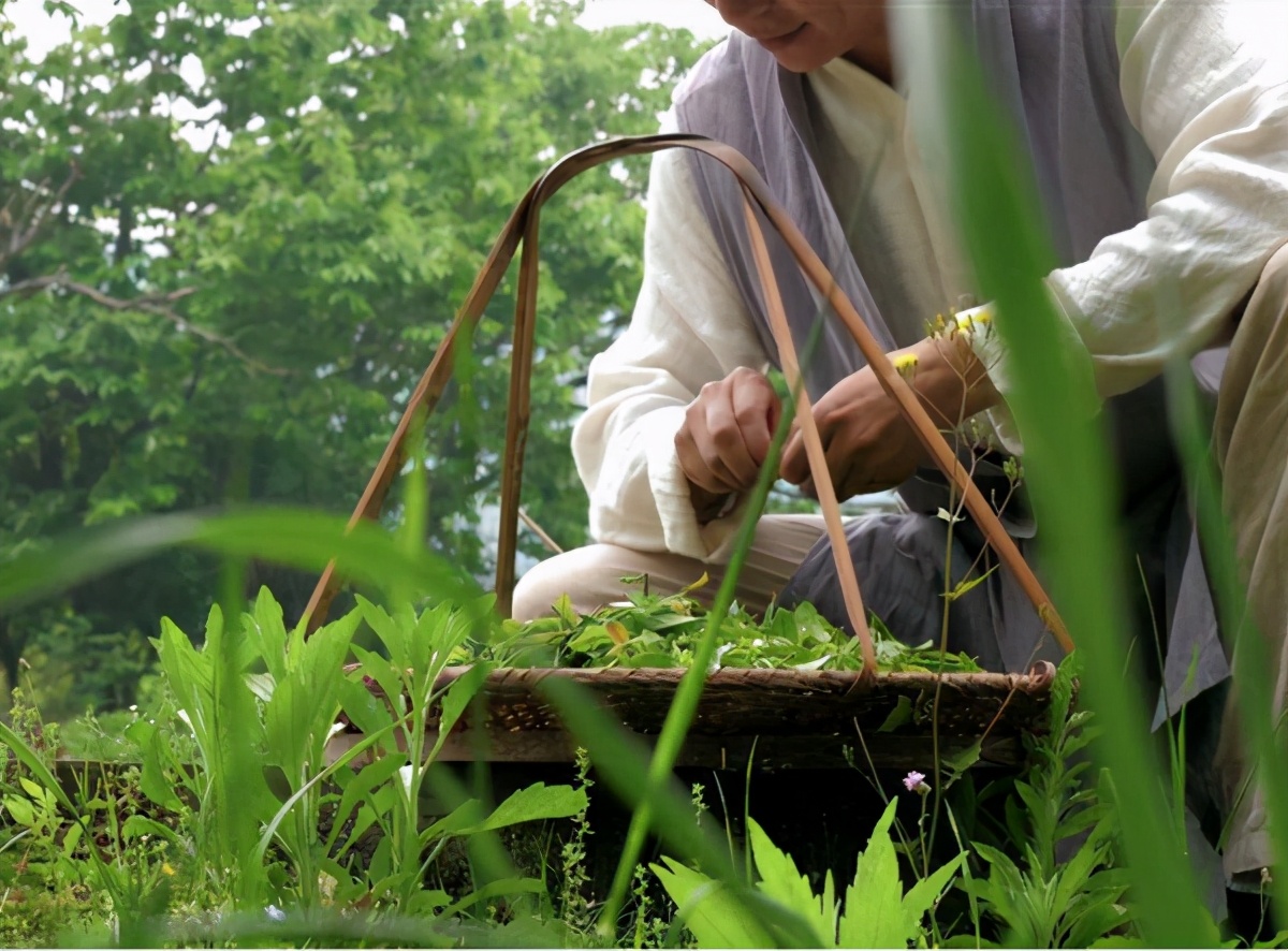 莹肤本草护肤品热门视频,莹肤本草面膜