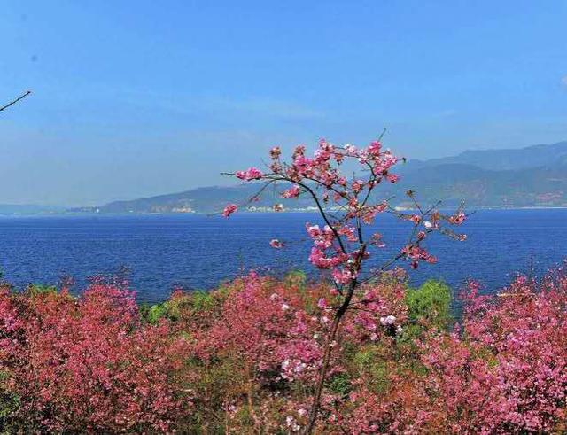 云南抚仙湖欢乐大世界，寒武纪小镇，文旅投资新热点