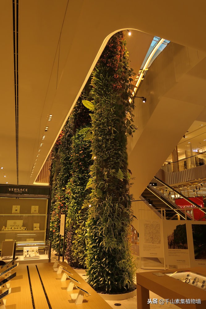 美丽的景观商店效果图,大型仿真植物商业街景观造景装饰