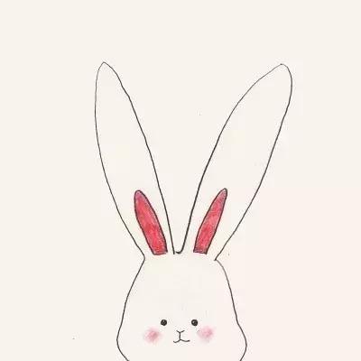 全网最火的兔子玩偶,2020年最火的兔子玩偶