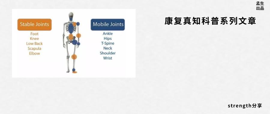 运动动力链是什么,人体运动系统动力链