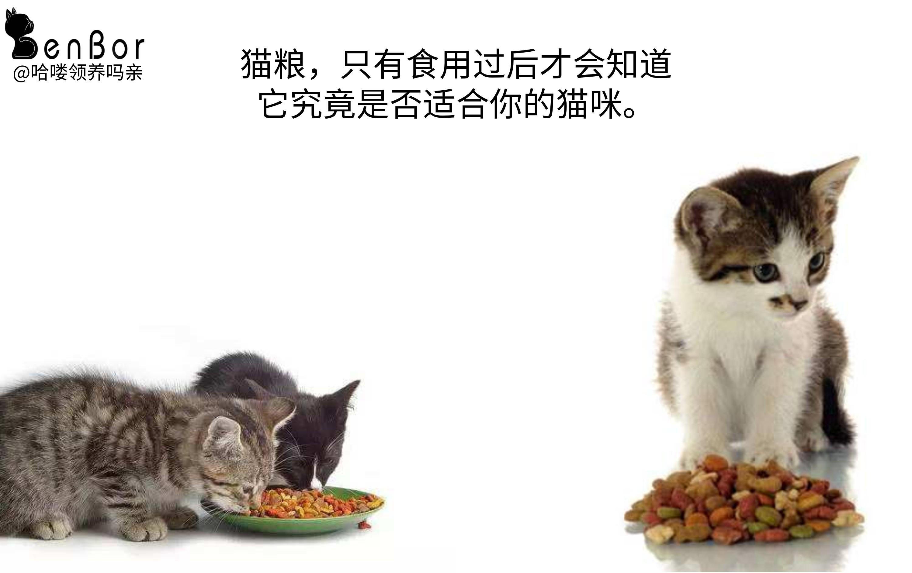 为什么猫吃了异烟肼没事,毒猫粮对猫有什么危害
