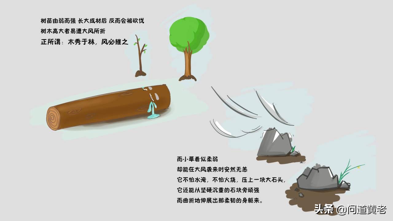 不得好死是贬义词还是褒义词,不得好死到底是什么意思