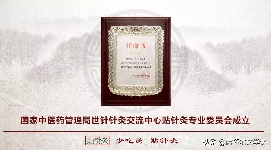 张少鹏谷世喆,张少鹏针灸