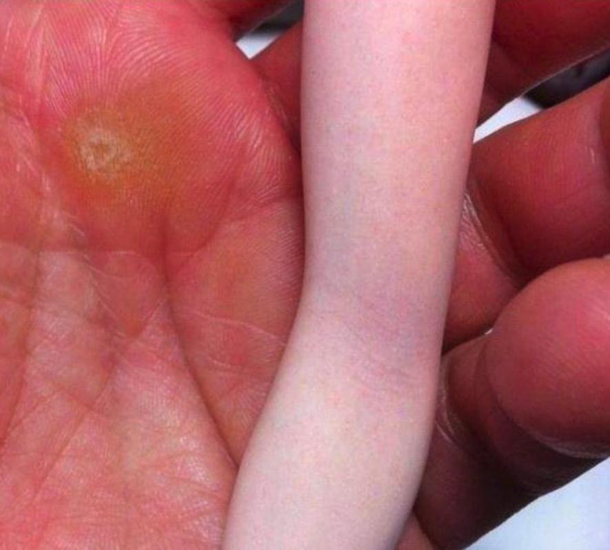 血管清晰可见的手办,可以看见血管的手办