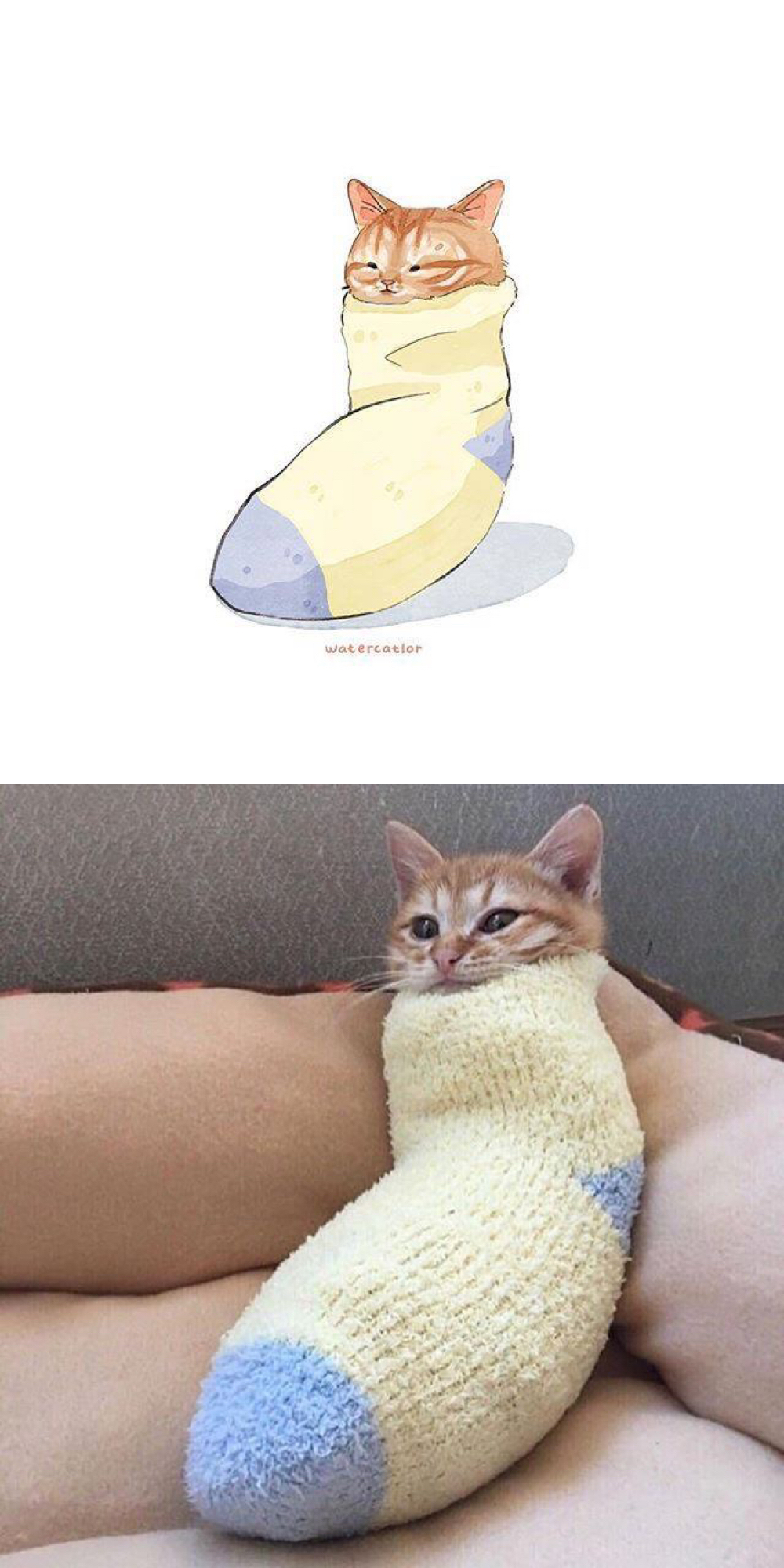 可爱小猫咪的漫画,猫呆萌漫画图