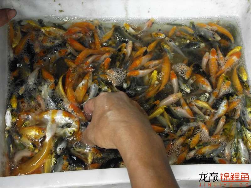 开渔场赚钱吗,开渔场需要多少资金