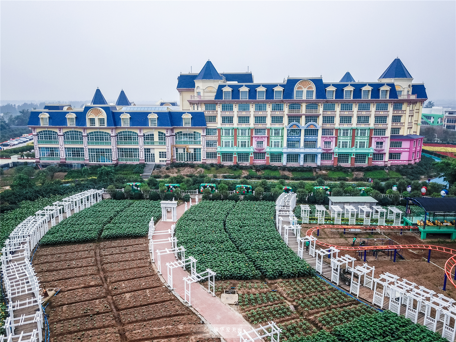 百万葵园攻略地图大全,百万葵园游玩注意事项