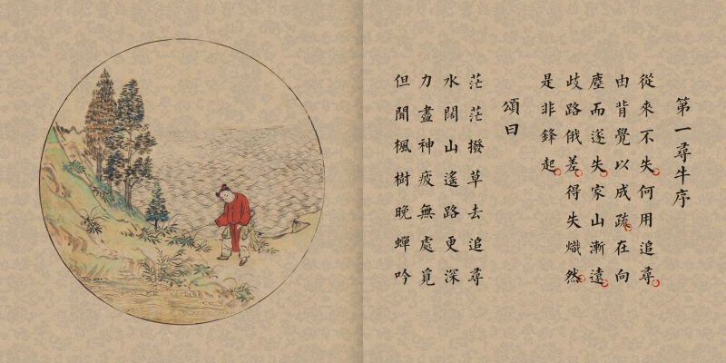 画说百年喜迎新春绘画,画说国学全套