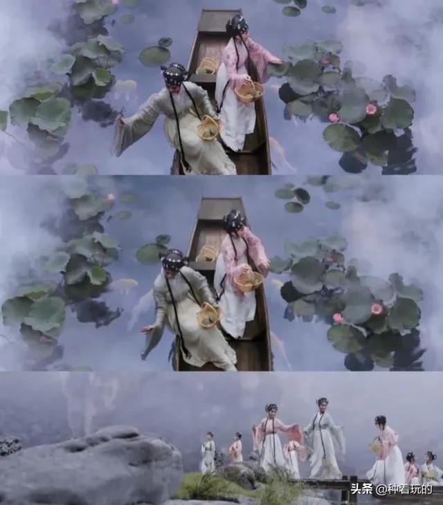 碗莲长出八个叶子什么时候能开花,碗莲叶子怎么竖不起来老浮在水面