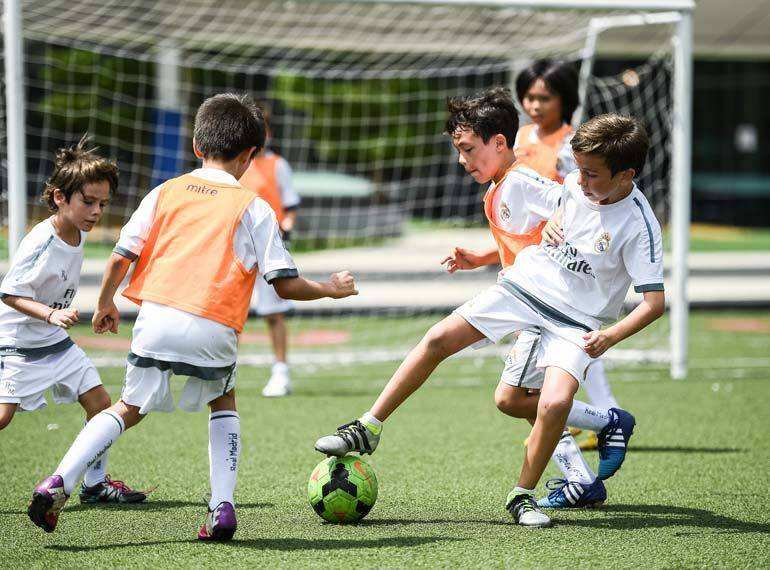 飞镖练习用软镖还是硬镖,飞镖做实验