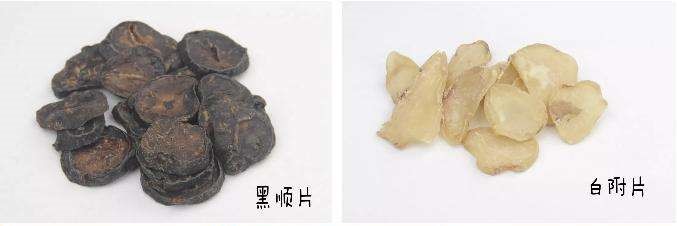 附子中毒能引起肝肾损伤吗,附子中毒副作用