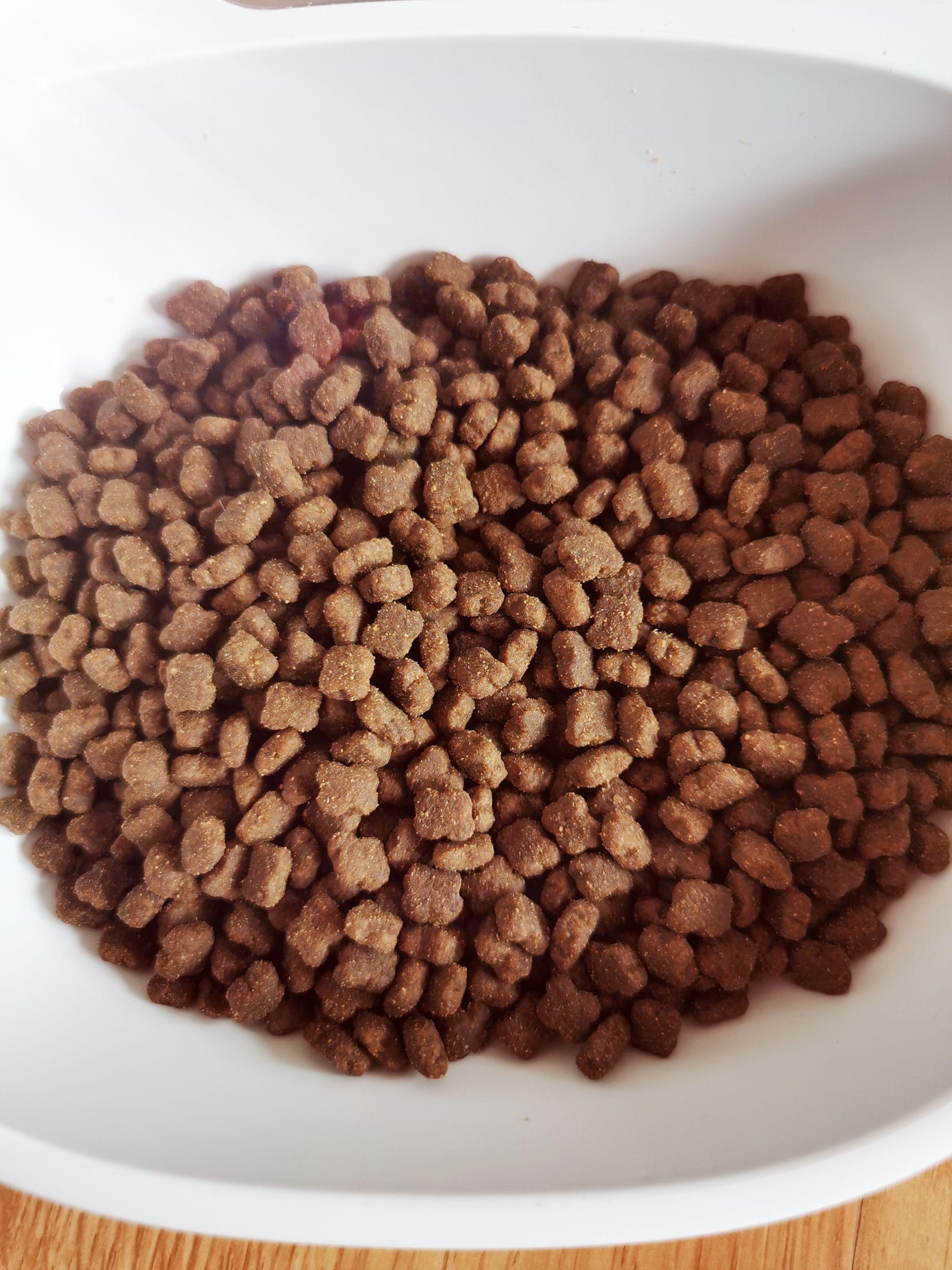 618铲屎官,铲屎官猫粮排名