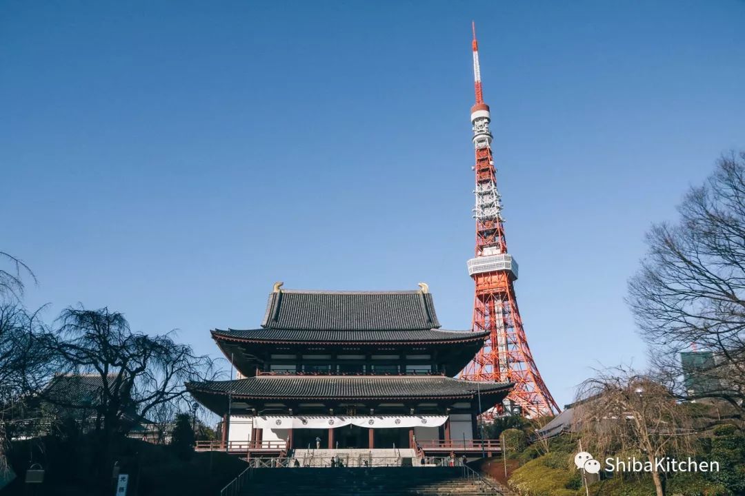 表参道和代官山的距离,表参道代官山店几点开门