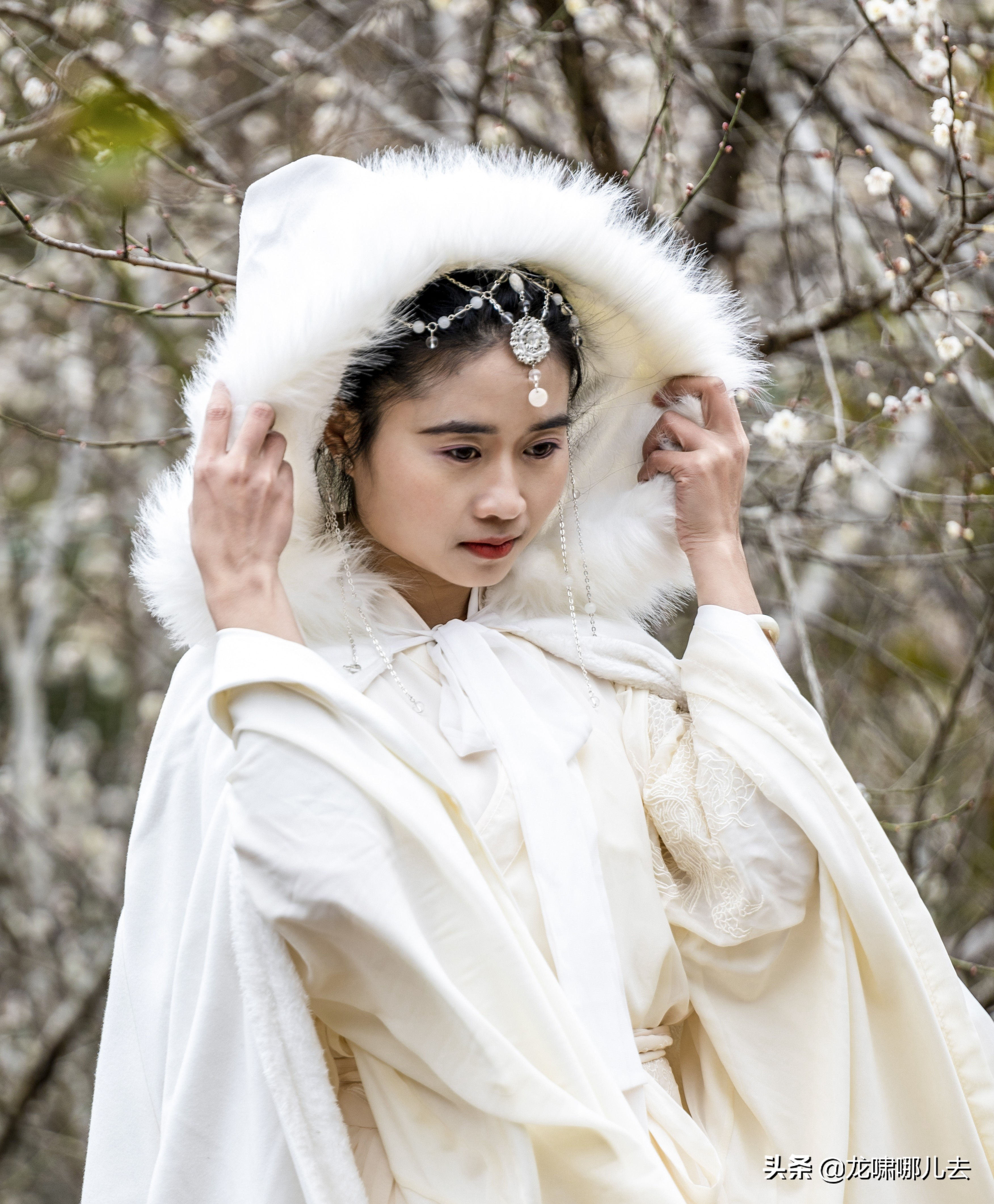 梁化梅园梅花观赏最佳时间,惠州梁化梅园看梅花时间