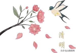 春天里最美的遇见歌曲,春天最美的文案就是油菜花