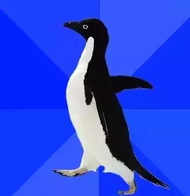 这团萌物看似天真无邪，其实满脑子黄色废料