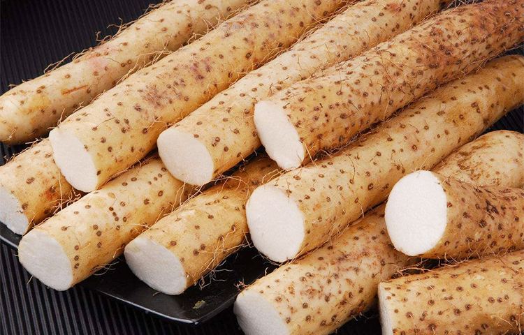 12个菜农不对外说的买菜窍门，新鲜水嫩，菜贩子：一看就是行家