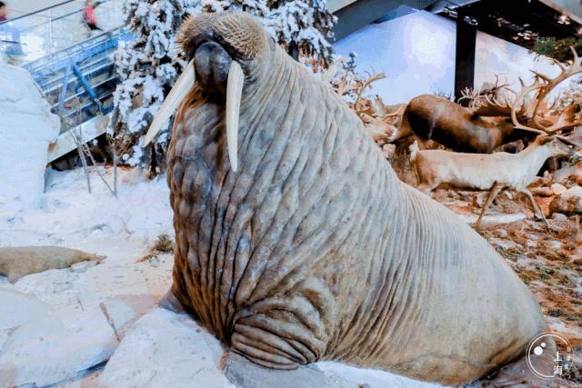 整个上海都是繁华的吗,上海一座美丽的魔都