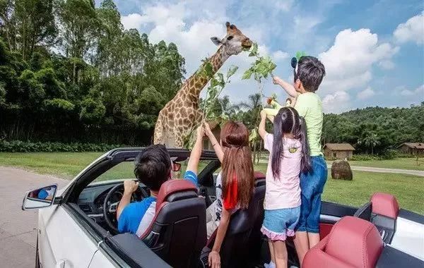 长隆过寒假解锁活力童年,寒假适合带孩子去长隆吗