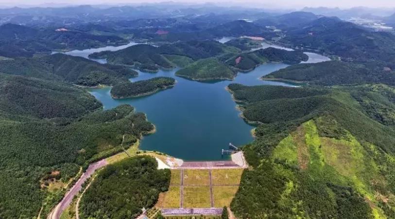 华为与龙华,霸气华为