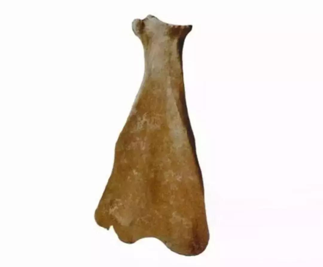 宝鸡是被遗忘的城市吗,宝鸡市最贫困的地方