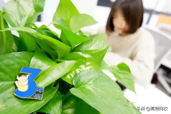 2019德勤收入,德勤最新薪酬深圳