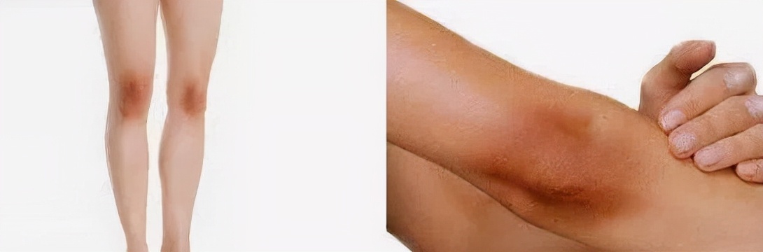 雅顿身体乳|滋润保湿,持久留香,一大瓶性价比高