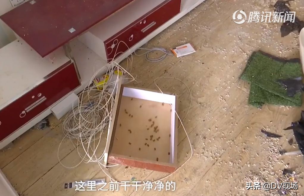 租房小伙退租后惊呆房东,房东收房租时见惊人一幕