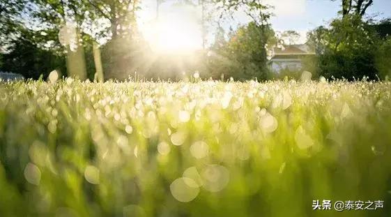 今日春分不负春光万物可期,今日春分莫负春光
