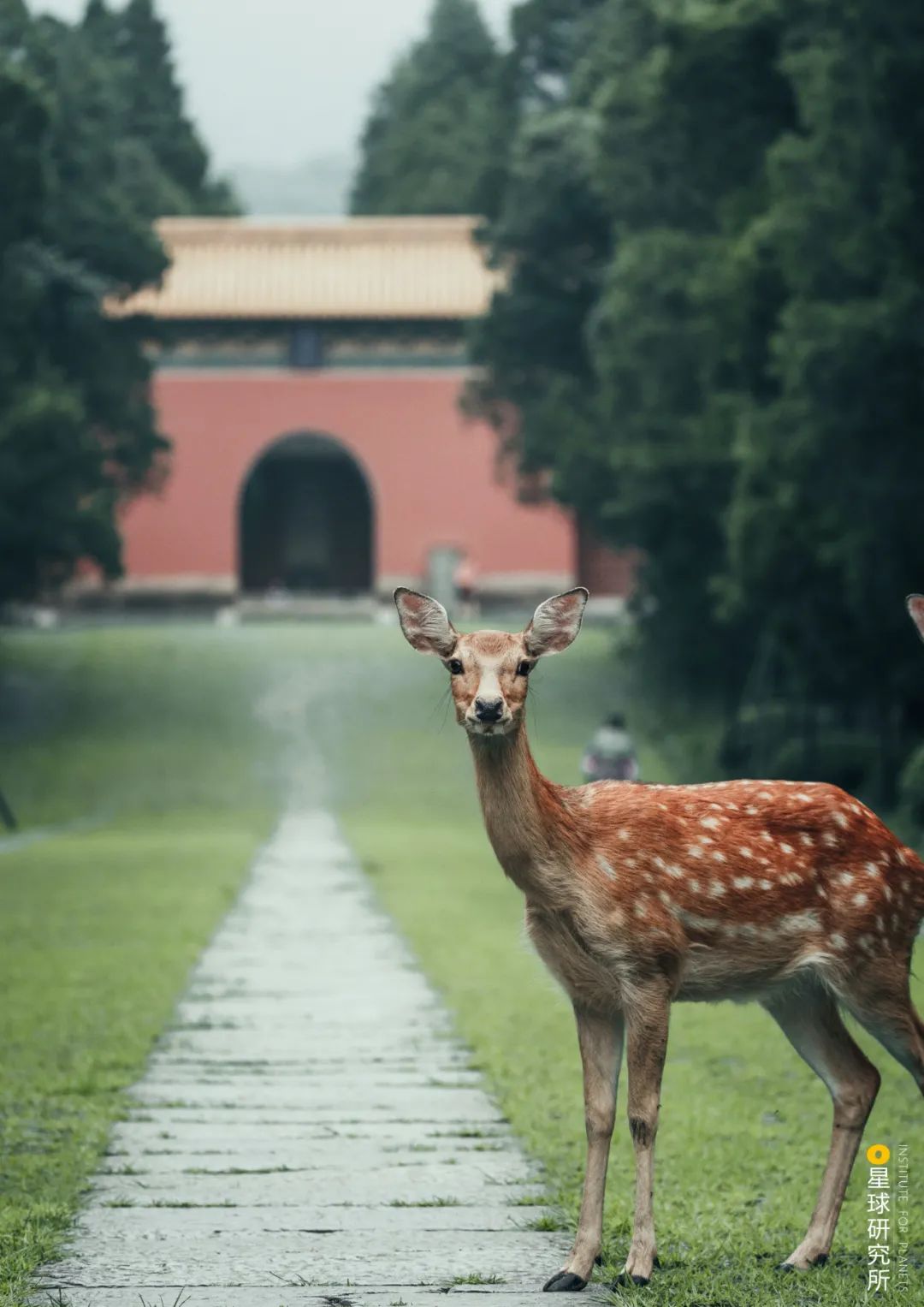 南京为什么叫金陵,我是南京