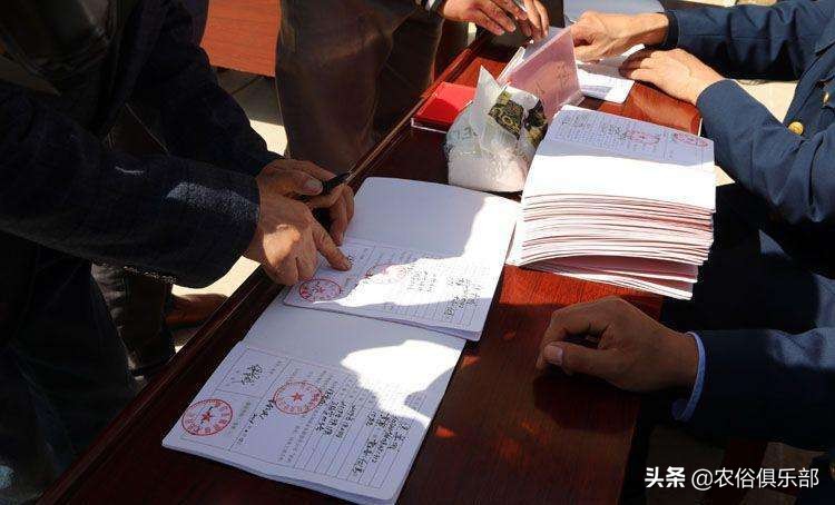 农村集体经济组织股权证如何发放,农村集体经济股权证有什么作用